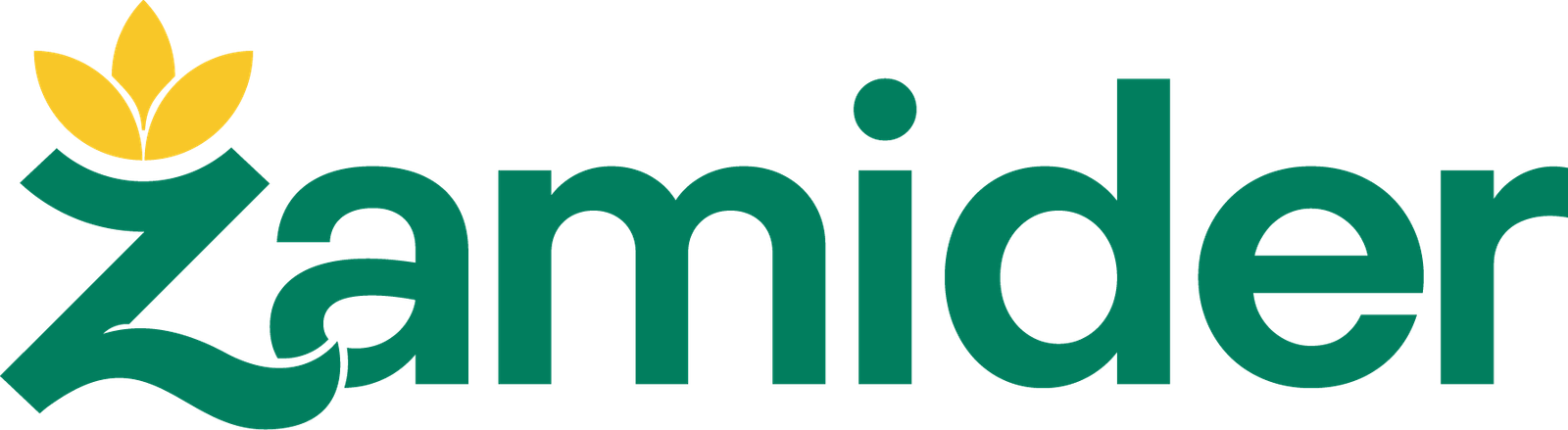 Zamider